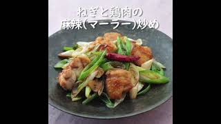 ねぎと鶏肉の麻辣（マーラー）炒め