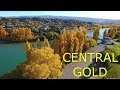 Autumn Gold - New Zealand Autumn Gold - New Zealand