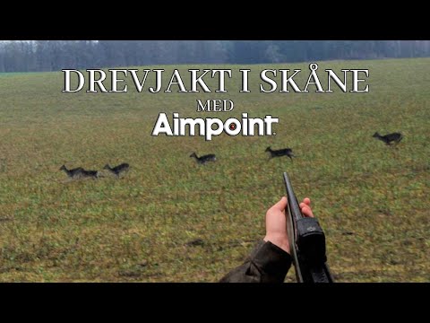 Drevjakt i Skåne Med Aimpoint | Driven Hunt