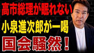 【日本の政治】 反高市デモの背後に“中国の影”…！？進次郎の答弁が流れを変えた瞬間
