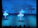 Ballet From Show 2008 At