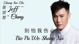 Jeff Chang 张信哲 Zhang Xin Zhe - Bie Pa Wo Shang Xin 别怕我伤心 Lyrics Pinyin ( MANDARIN SONG )