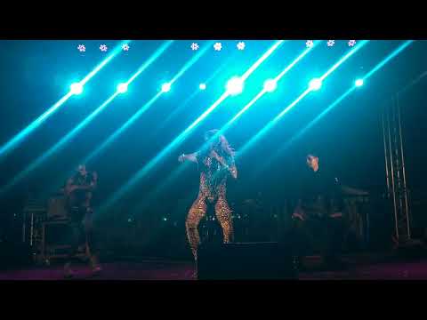 Viviane Vipper - 19° Parada LGBT de Campinas  - 30/06/2019