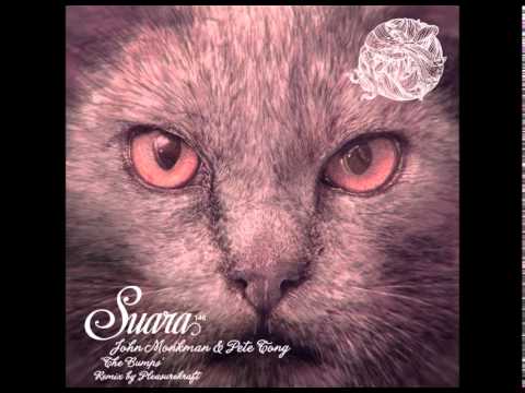 John Monkman & Pete Tong - The Bumps (Pleasurekraft Remix) [Suara]
