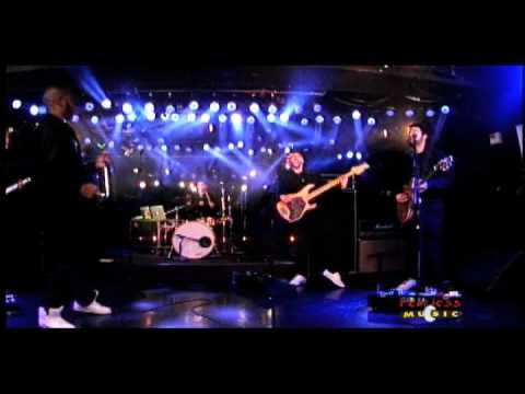 Bad Rabbits - Girl I'm Like Damn - Live On Fearless Music