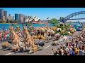 Wildlife Parade 2026 In Australia Spectacular Animal Street Festival Full Event Highlights