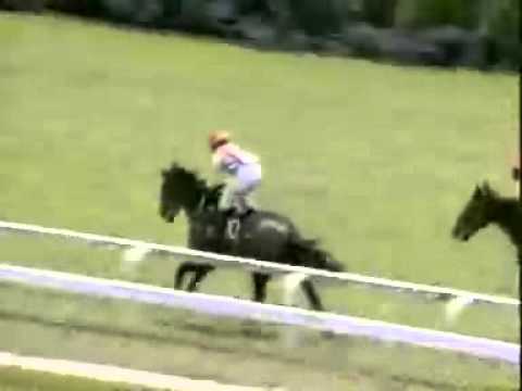 20110305 IPOH MAIDEN 1100M (STR) - SUN SUPREME (I Saifudin)