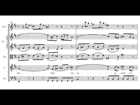 Bach: St. Matthew Passion - 39. Erbarme dich mein Gott - Herreweghe