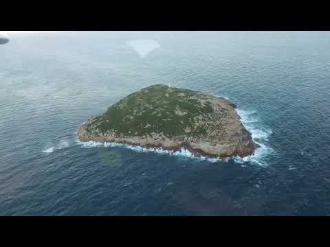 Cliffy Island, Bass Strait