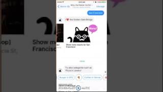 Review of Mica, The Hipster Cat Bot