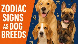 ZODIAC SIGNS AS DOG BREEDS #zodiacsigns #thatzodiacguy #astrology