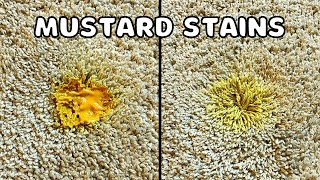 How to Remove MUSTARD Stains From Carpet