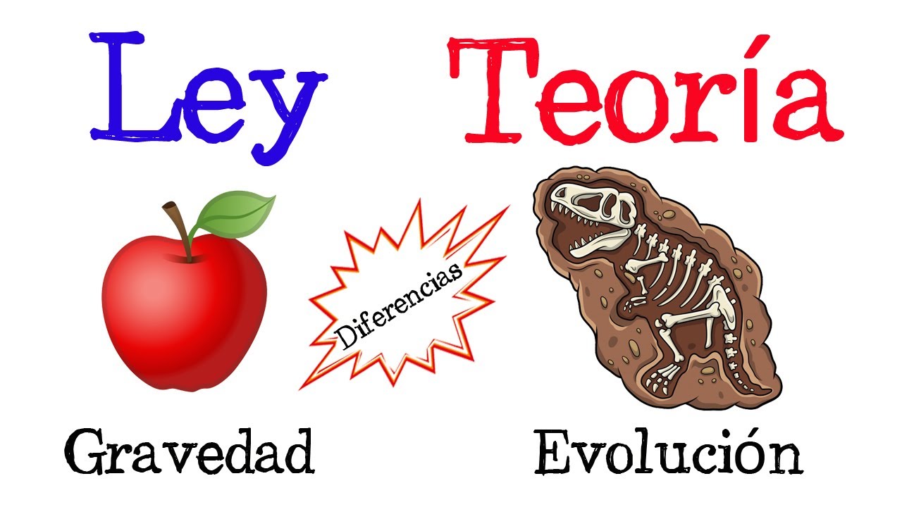 LEY Y TEORÍA DIFERENCIAS 👉 [ FÁCIL Y RÁPIDO ] 👈