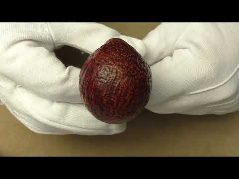 L'Anatra Sabbiata - pipe 498B