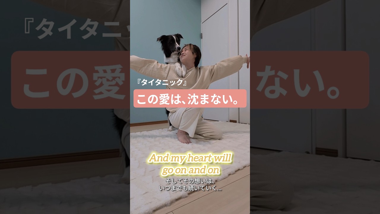 【映画史に残る名曲】タイタニックの愛は永遠に #titanic #dog #doglove #犬のいる暮らし #shorts