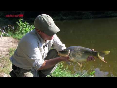 Feedern Teil 1 - Seen - von etheon TV