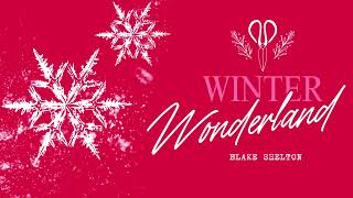 Blake Shelton - Winter Wonderland