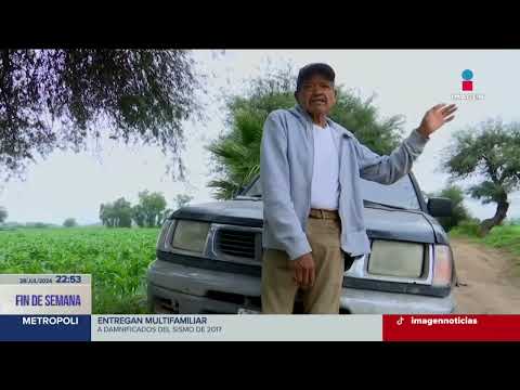 Maíz, calabaza alfalfa y chile crecen en Hidalgo regados con aguas negras | Imagen Noticias Fin de