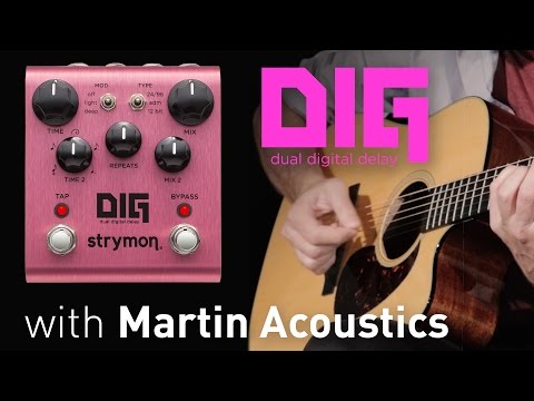 Strymon DIG Dual Delay w/ Martin Acoustics