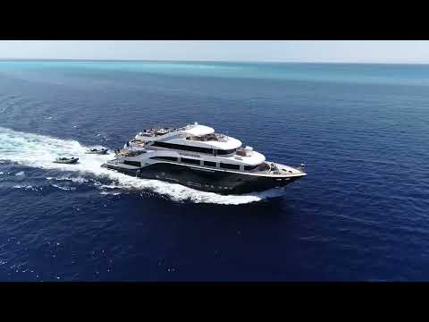 All Star Liveaboards: The Wonders of the Red Sea