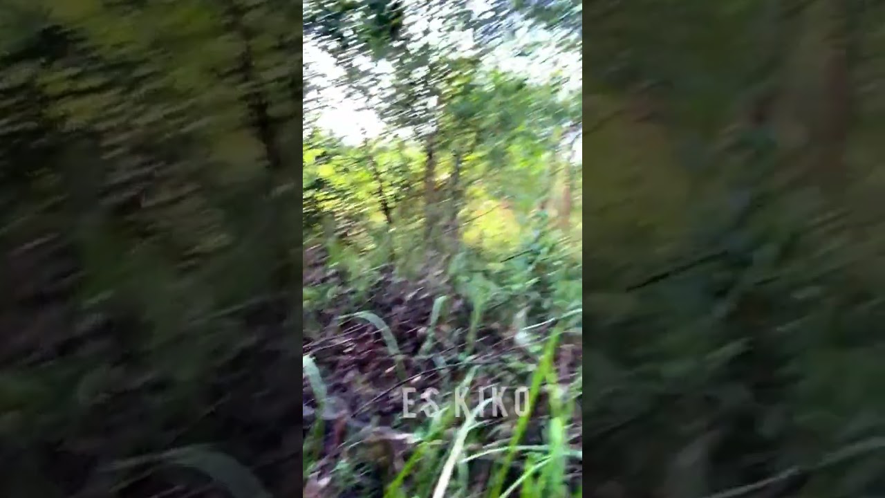 Peta harta Karun  #berburumainan #berburuyupi #hartakarun #kiko #permenyupi #hunting #yupi #es