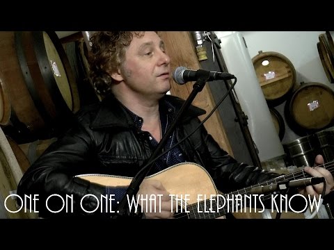 ONE ON ONE: James Maddock w/ Freddie Stevenson - What The Elephants Know 1/10/16 City Winery