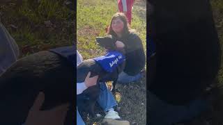 Video preview image #1 Labrador Retriever-Mountain Cur Mix Puppy For Sale in Farmerville, LA, USA