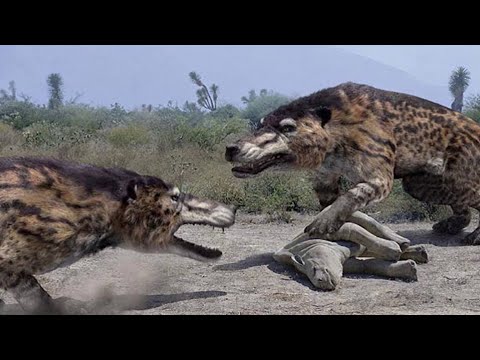 ANDREWSARCHUS - największy mięsożerny ssak lądowy