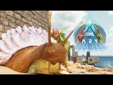 The Cement Paste Factory! | Episode 8 | Ascending the Island