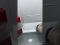 Why my fridge singing