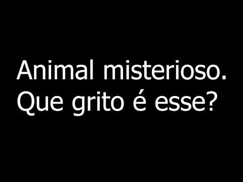 Grito misterioso de animal em Ipira Santa Catarina. Ninguém sabe?
