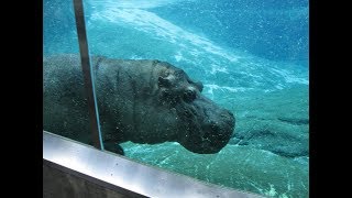 Ep. 6 - 2012 October and  November Video Photo Show