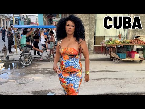 KBS TRAVELS  and PUDO TV