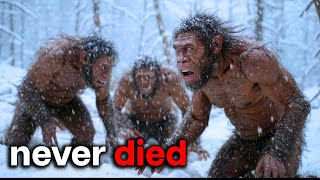 How Homo Erectus Survived 2 MILLION Years | HISTORY FOR SLEEP MQDEFAULT Thumbnail