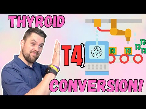 Natural Ways to Support T4 to T3 Conversion (DON’T SKIP THIS!)