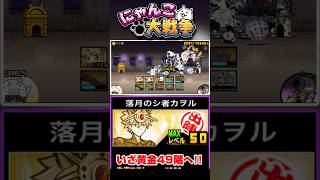 落月のシ者カヲルを編成に入れていざ黄金にゃんこ塔49階へ #にゃんこ大戦争