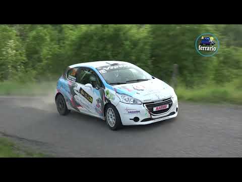 1°Rally Valli Oltrepo' 2022 CLIP PERUGIA-DE PAOLI CRASH by Ferrario