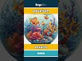 aquarium - acuario video thumbnail