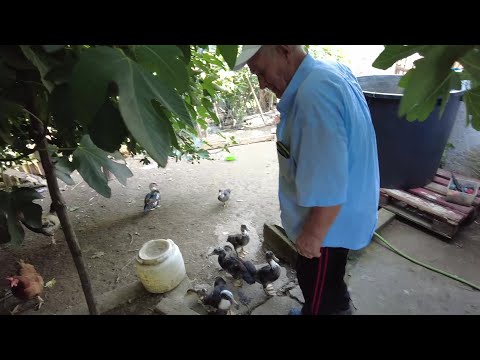 "Moj komšiluk je sav izumro, ovo mi je razonoda"