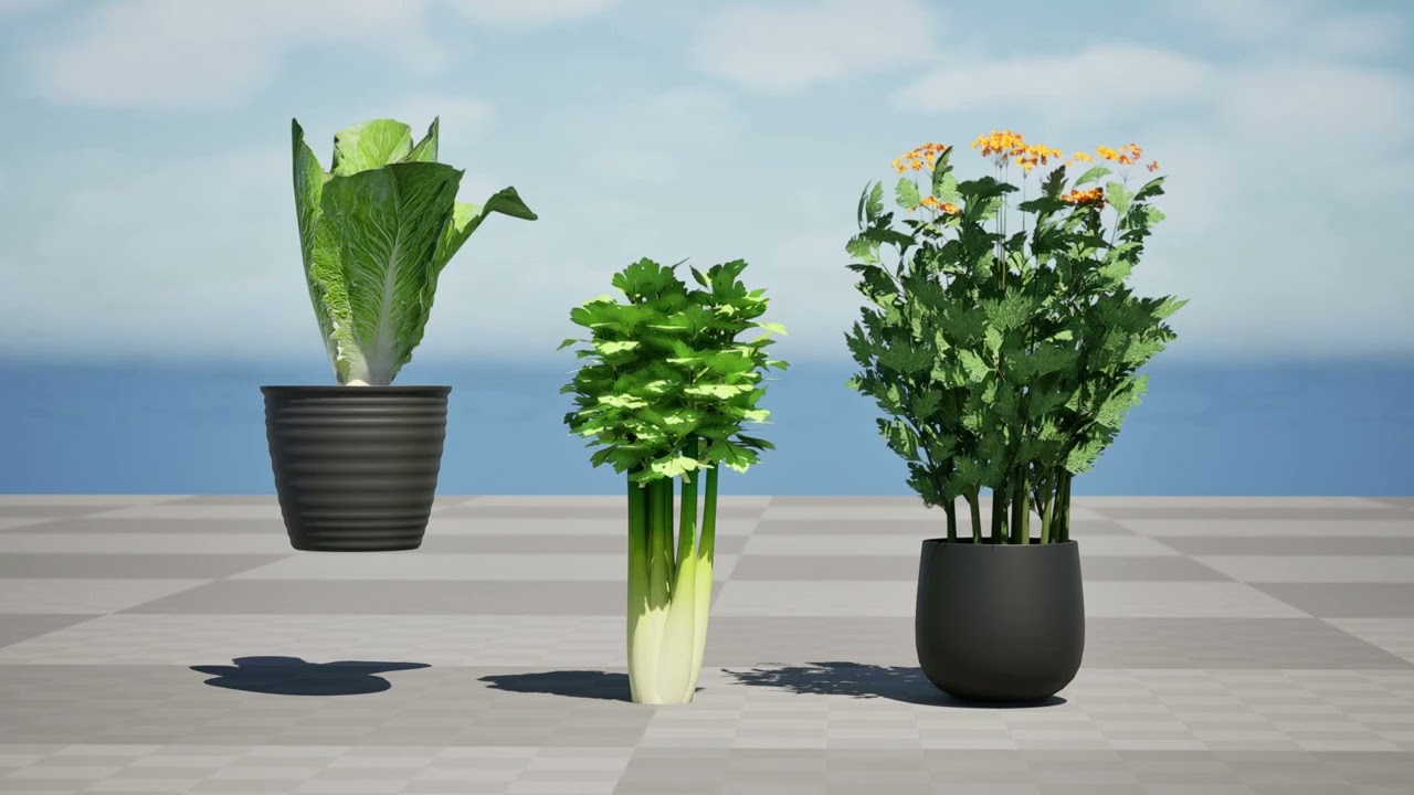 Leafy Greens 3D Pack 3D Model