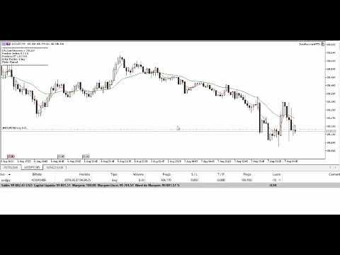 Video Zone Recovery Martingale for mt5