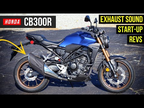New 2022 Honda CB300R Exhaust & Engine Sound / Revs | CB 300 R Naked Motorcycle / Sport Bike
