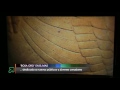 Exposición "Rosa Oro" en el MAS