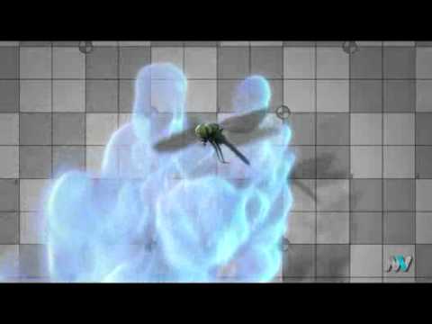 UNSEEN WORLD 3D at IMAX Melbourne