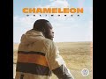 Chameleon feat  Kabza De Small, DJ Maphorisa