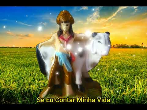 Capa do vídeo: Boia Boiadeiro