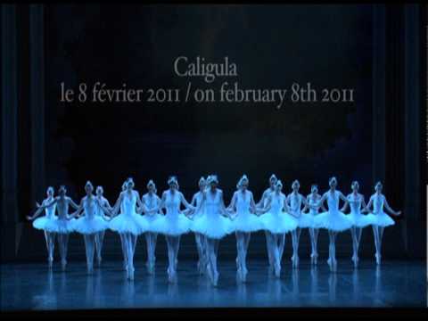 Ballet de l'Opra National de Bordeaux