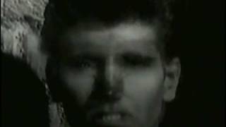 Bad Company-Running with the Pack-(A Werewolf Compilation)