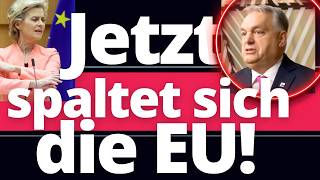 Es beginnt: EU vor dem Zusammenbruch!