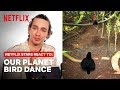Robert Sheehan + Netflix Stars React to Dancing Birds | Our Planet | Netflix